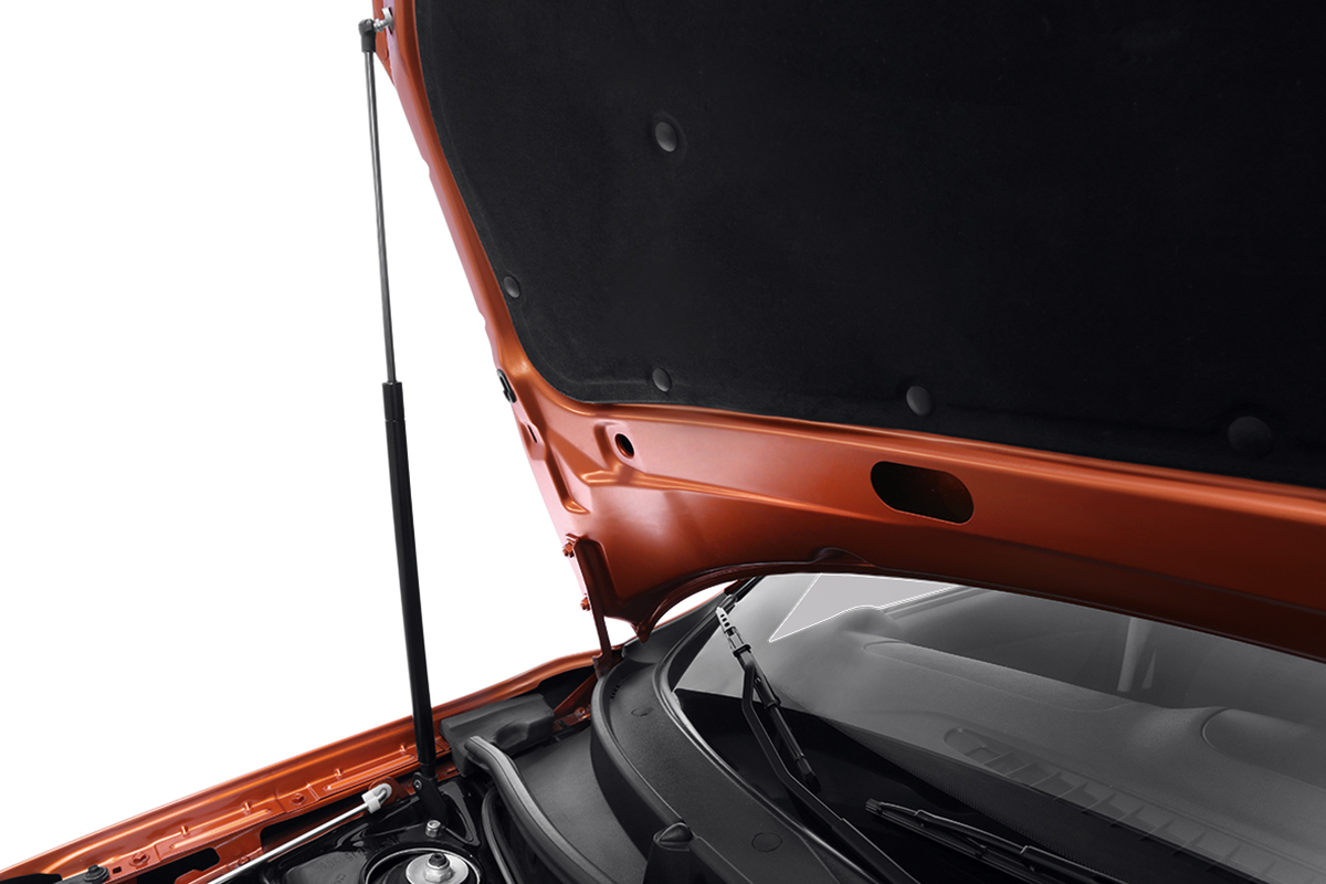 Комплект амортизаторов капота LADA Granta FL
